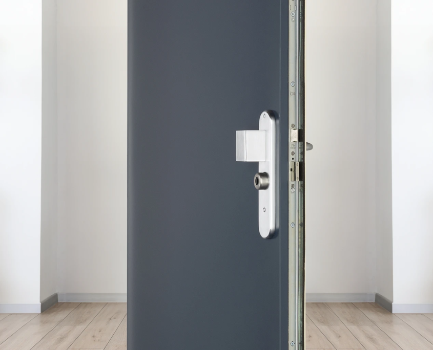 Porte blindee fichet protectdoor plus vue cote