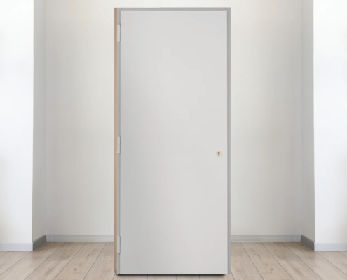 porte blindee fichet pour cave